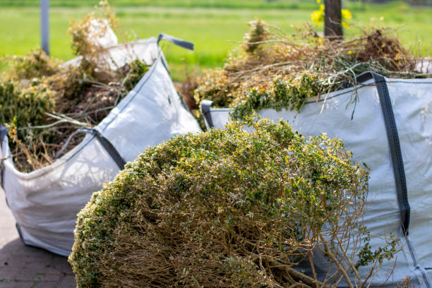 Best Junk Removal Near Me  in Ladonia, AL